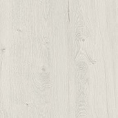 Дуб Наварра